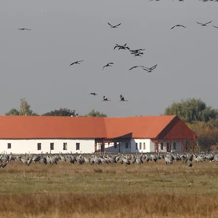 Bibic Nature Oda ve Kahvaltı