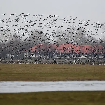 Bibic Nature Balmazújváros