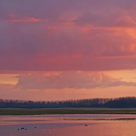 Oda ve Kahvaltı Bibic Nature