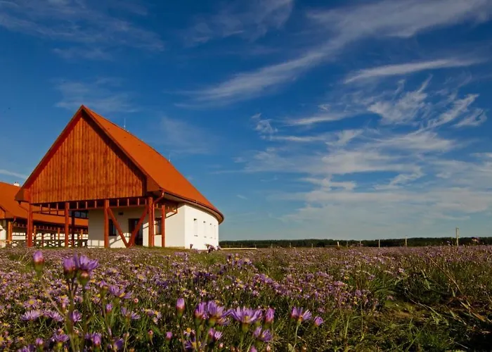 Bibic Nature 3* Balmazújváros